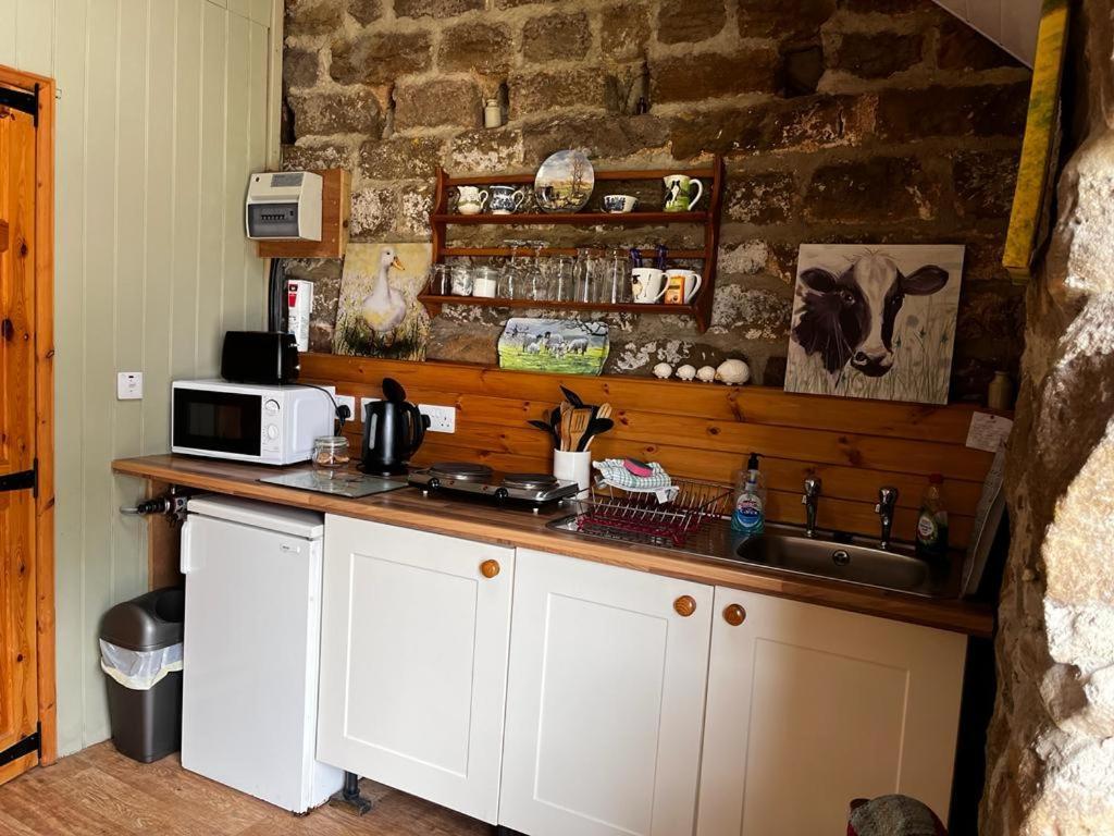 Shepherd'S Hut Bilsdale Chop Gate エクステリア 写真